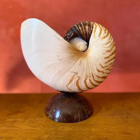 Bed & Breakfast Les Logis De 4*