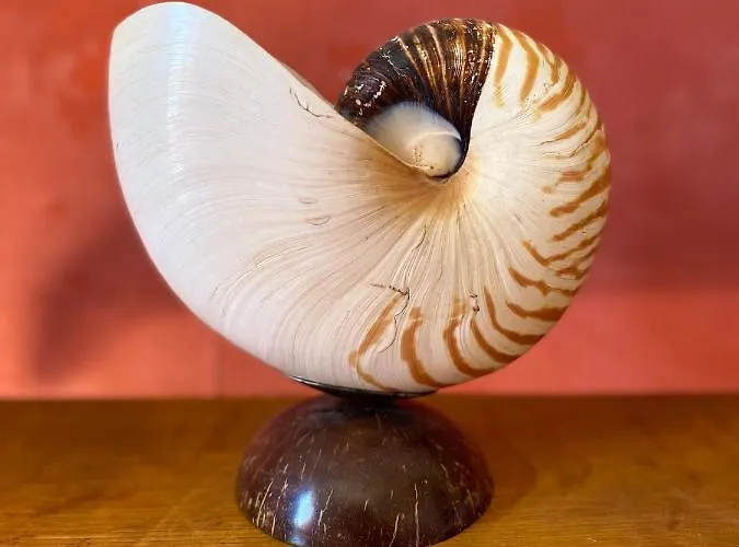 Bed & Breakfast Les Logis De 4*